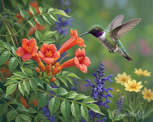 Load image into Gallery viewer, Paint by numbers kit Hummingbird Haven Figured'Art