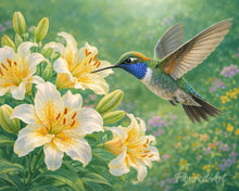 Load image into Gallery viewer, Paint by numbers kit Hummingbird in Bloom Figured'Art