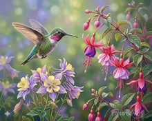 Load image into Gallery viewer, Paint by numbers kit Whispers of the Hummingbird Figured'Art