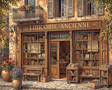 Load image into Gallery viewer, Paint by numbers kit Timeless Pages Figured'Art
