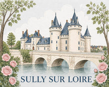 Load image into Gallery viewer, Paint by numbers kit Sully-sur-Loire Castle Figured'Art
