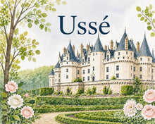 Load image into Gallery viewer, Paint by numbers kit Ussé Castle Figured'Art