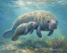Load image into Gallery viewer, Paint by numbers kit Manatee mom and baby cuddles Figured'Art
