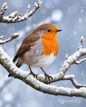 Load image into Gallery viewer, Paint by numbers kit for adults Winter Robin Figured'Art