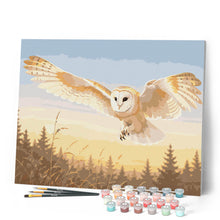 Load image into Gallery viewer, Barn Owl Sunset Flight