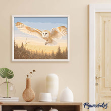Load image into Gallery viewer, Barn Owl Sunset Flight