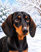 Load image into Gallery viewer, Paint by numbers kit Winter Dachshund Portrait Figured'Art