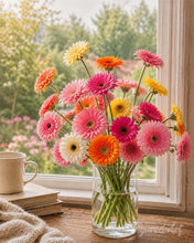 Load image into Gallery viewer, Paint by numbers kit Joyful Gerberas Figured'Art
