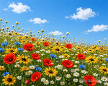 Load image into Gallery viewer, Paint by numbers kit Wildflower Meadow Figured'Art