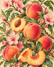 Load image into Gallery viewer, Paint by numbers kit Velvet Peaches Figured'Art