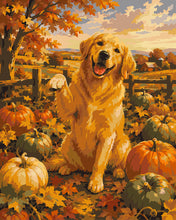 Load image into Gallery viewer, Paint by numbers kit for adults Golden Retriever in a Pumpkin Patch Figured'Art