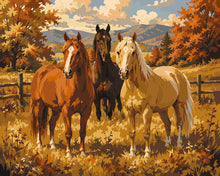 Load image into Gallery viewer, Paint by numbers kit Horses in the Autumn Meadow Figured'Art