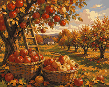 Load image into Gallery viewer, Paint by numbers kit Apple Orchard Harvest Figured'Art