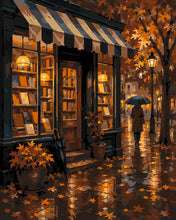 Load image into Gallery viewer, Paint by numbers kit Rainy Autumn Bookshop Figured'Art