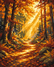 Load image into Gallery viewer, Paint by numbers kit Forest Path with Sunbeams Figured'Art