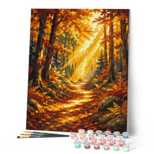 Load image into Gallery viewer, Forest Path with Sunbeams