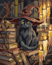 Load image into Gallery viewer, Paint by numbers kit Black Spells Keeper Figured'Art