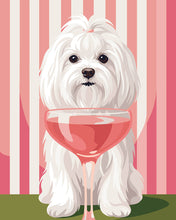 Load image into Gallery viewer, Paint by numbers kit Sweet Maltese Figured'Art