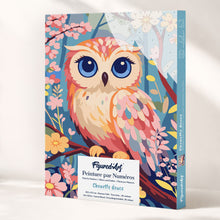Load image into Gallery viewer, Paint by Numbers Gift Box - Sweet Owl Figured'Art
