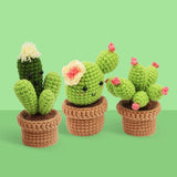 Amigurumi Crochet Kit - Cactus Trio Figured'Art