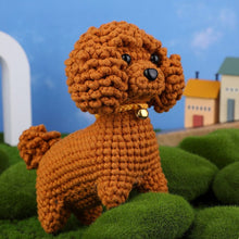 Load image into Gallery viewer, Amigurumi Crochet Kit - Brown Poodle Figured'Art