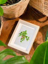 Load image into Gallery viewer, Gem Painting kit - Plants series