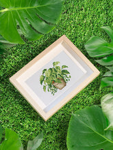 Load image into Gallery viewer, Gem Painting kit - Plants 2 series