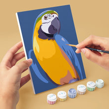 Load image into Gallery viewer, Mini Paint by numbers 6"x8" (6 pieces) - Tropical Feathers