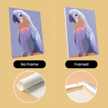 Load image into Gallery viewer, Mini Paint by numbers 6"x8" (6 pieces) - Tropical Feathers