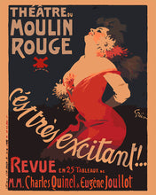 Load image into Gallery viewer, Paint by numbers kit Poster Moulin Rouge - It’s Very Exciting Figured'Art