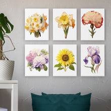 Load image into Gallery viewer, Mini Paint by numbers 6&quot;x8&quot; (6 pieces) - Floral Journey