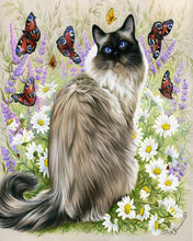 Load image into Gallery viewer, Paint by numbers | Discovery of butterflies | animals cats flowers intermediate new arrivals butterflies | Figured'Art
