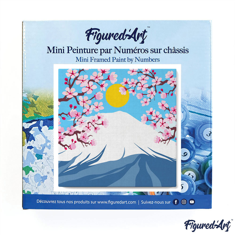 Mini Paint by numbers 8
