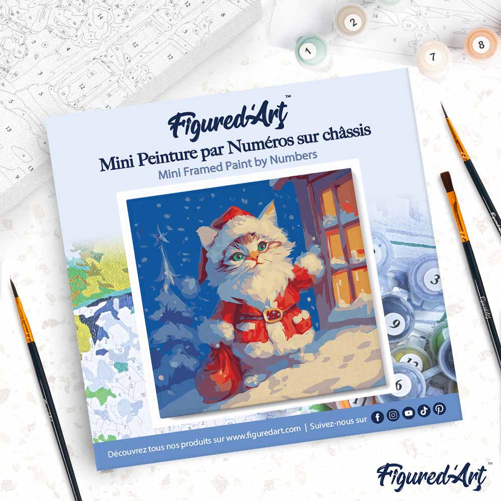 Mini Paint by numbers 8"x8" framed - Santa Kitty