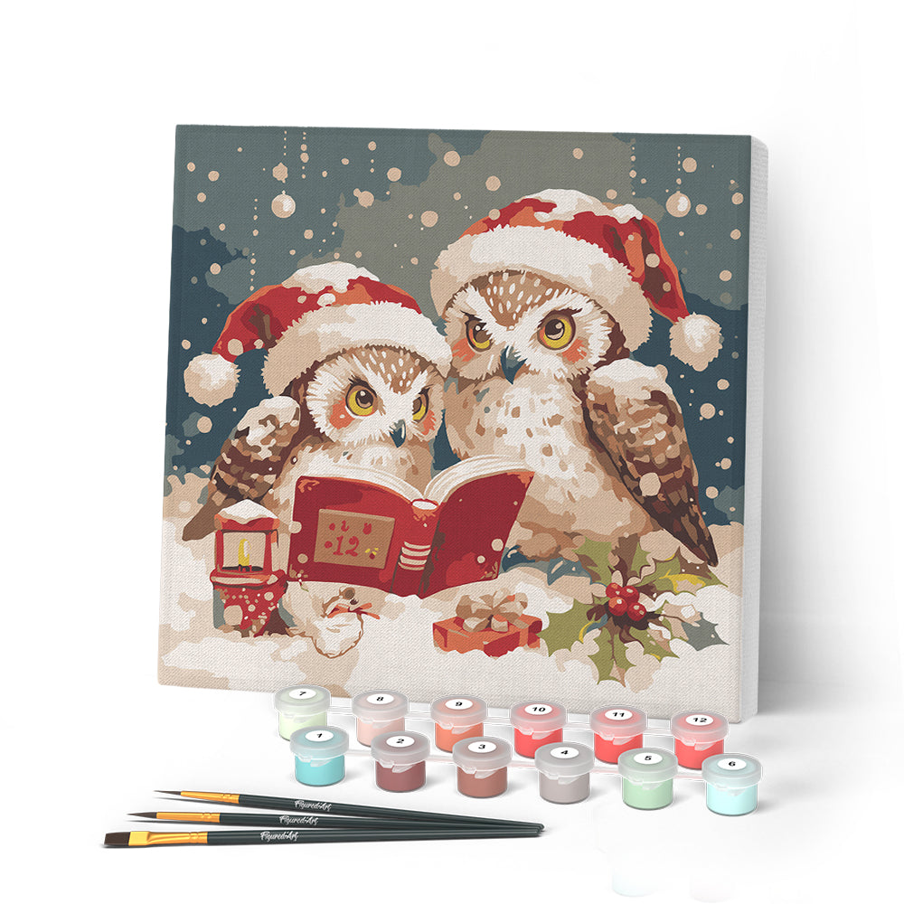 Paint by numbers kit Mini Paint by numbers 8"x8" framed - Santa Owls Reading Figured'Art