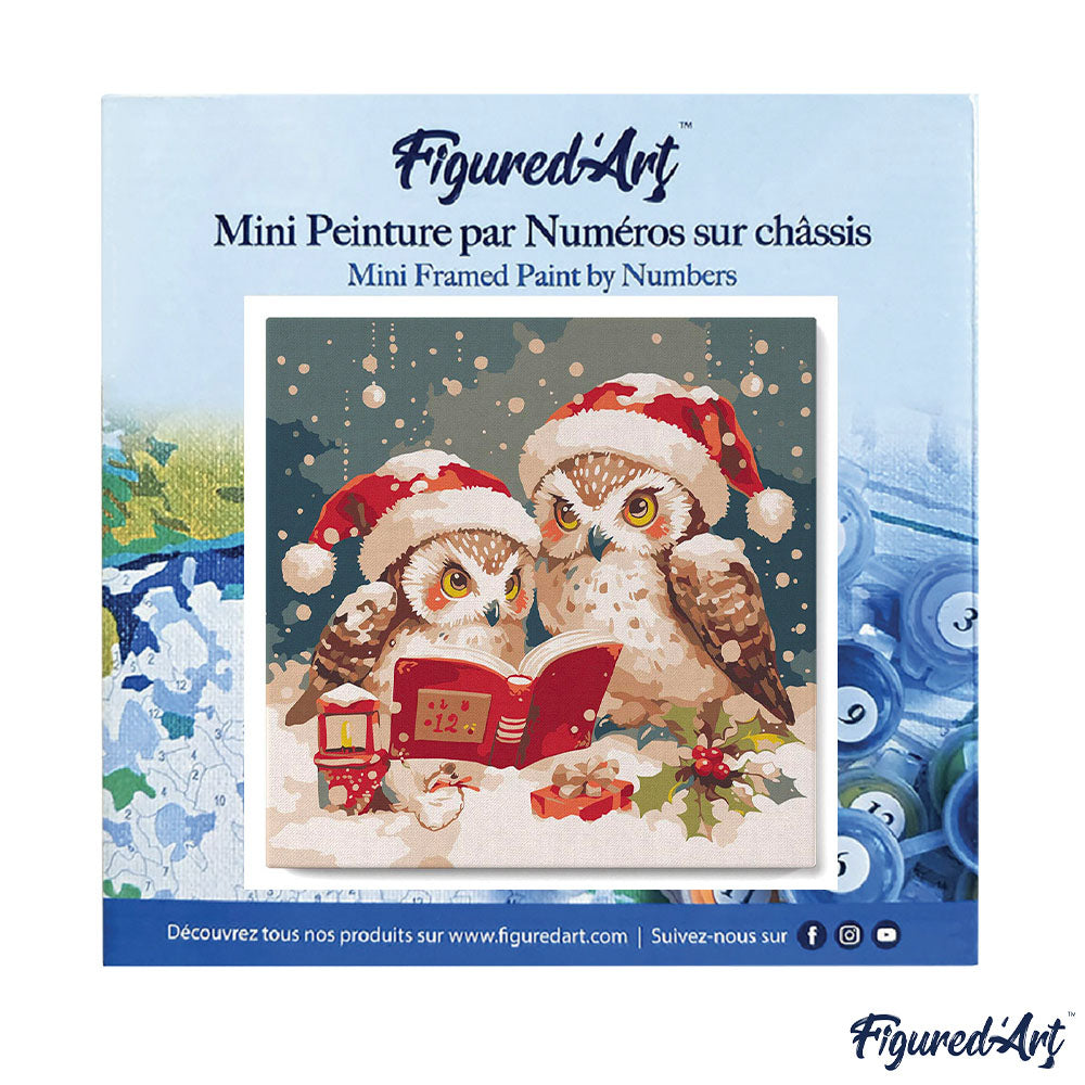 Mini Paint by numbers 8"x8" framed - Santa Owls Reading