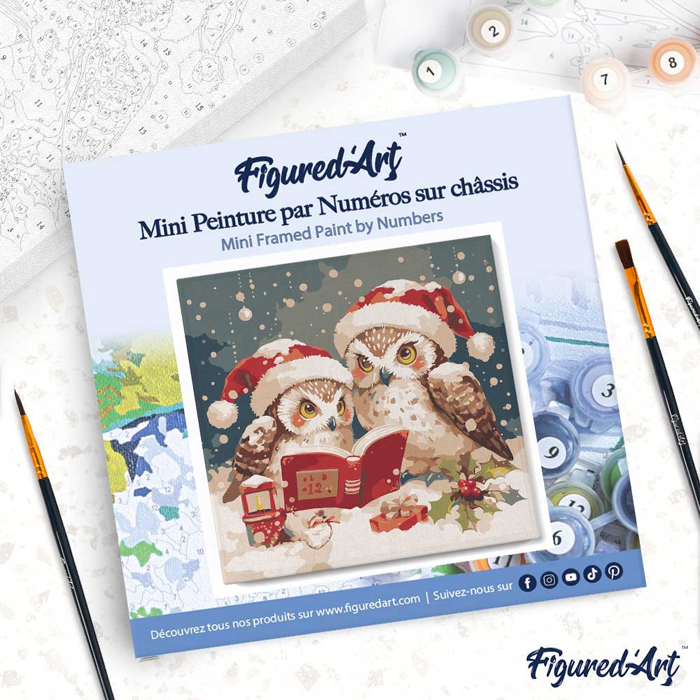 Mini Paint by numbers 8"x8" framed - Santa Owls Reading