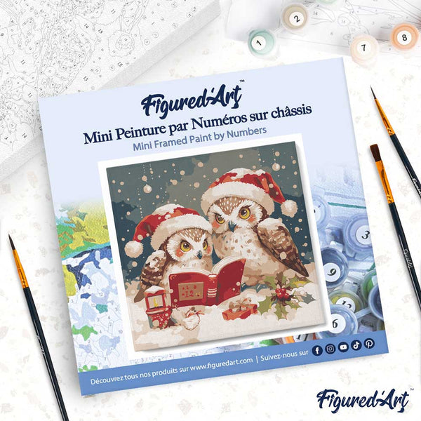 Mini Paint by numbers 8"x8" framed - Santa Owls Reading