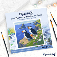 Load image into Gallery viewer, Mini Paint by numbers 8"x8" framed - Puffin by the Ocean Cliffs