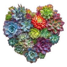 Load image into Gallery viewer, Wooden Puzzle - Succulent Heart