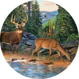 Wooden Puzzle - Deer in Nature