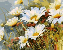 Load image into Gallery viewer, paint by numbers | Field of Daisies in Spring | easy landscapes | FiguredArt