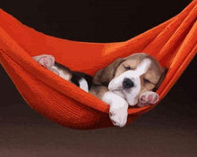 Load image into Gallery viewer, paint by numbers | Sleeping Dog | animals dogs easy | FiguredArt