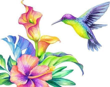 Load image into Gallery viewer, paint by numbers | Longirostris in Color | animals easy flowers | FiguredArt