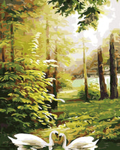 Load image into Gallery viewer, paint by numbers | Swans in the Forest | advanced birds landscapes swans | FiguredArt