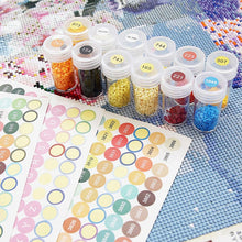 Load image into Gallery viewer, Diamond Painting 572 Round DMC Labels