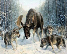 Load image into Gallery viewer, paint by numbers | Elan surrounded by a pack of wolves | advanced animals wolves | FiguredArt