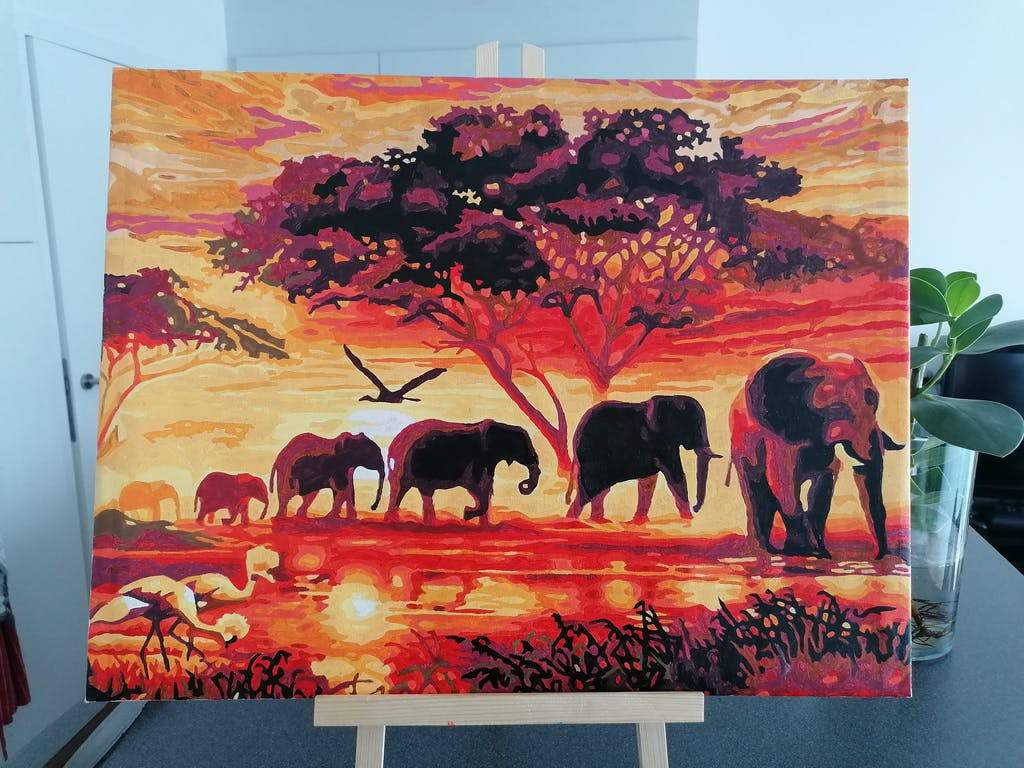 Finished elephant paint by numbers artwork