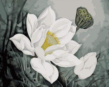 Load image into Gallery viewer, paint by numbers | White Lotus | easy flowers | FiguredArt