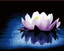 Load image into Gallery viewer, paint by numbers | Silence on Lotus Flower | beginners easy flowers | FiguredArt